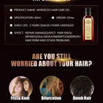 Laikou Argan Hair Oil Essential Oil Natural Anti-hair Loss Prevent Hair Dry Soft Nourishing Frizz Damaged Repair Care 60ml