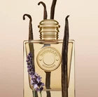 Burberry Goddess Eau de Parfum for Women 3.3 oz / 100 ml – New With Box